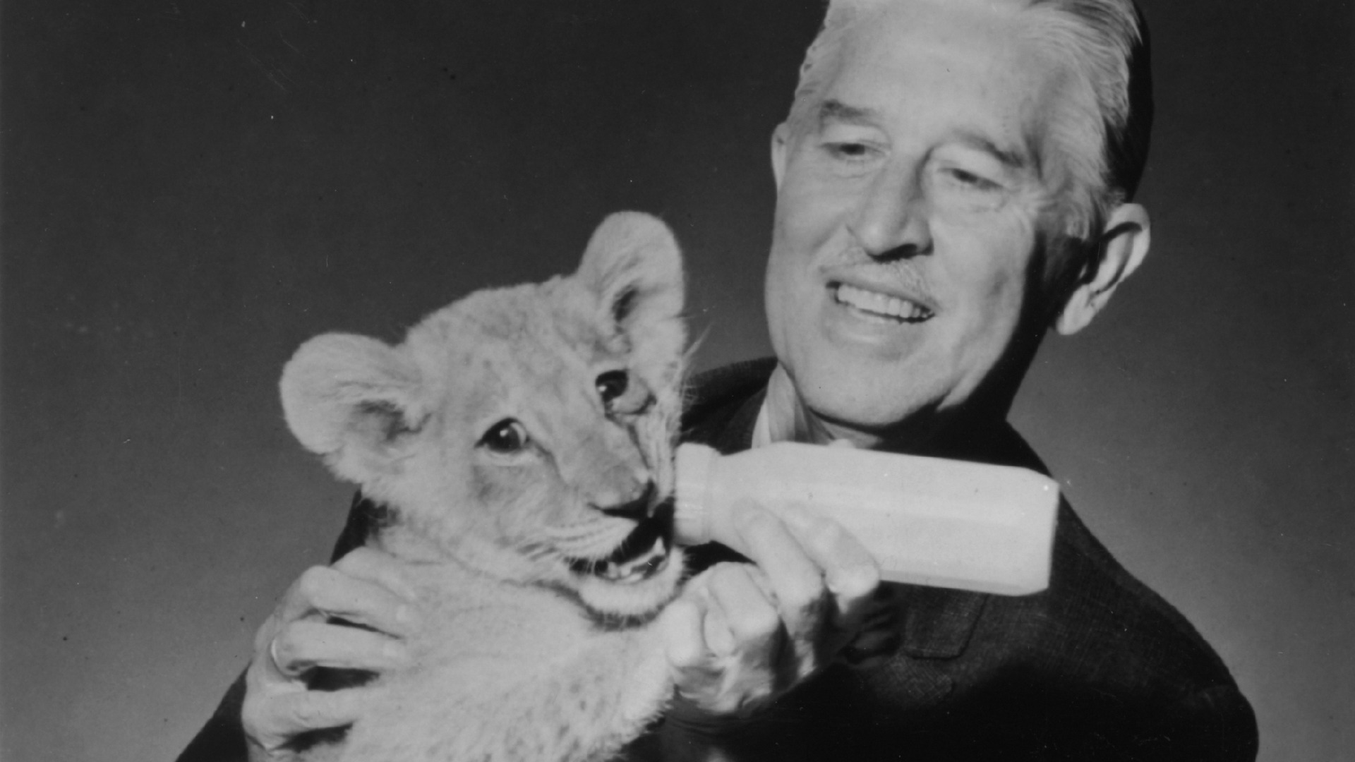 Episodes of Zoo Parade from 1956 Gallery | Zoo & Aquarium Video Archive