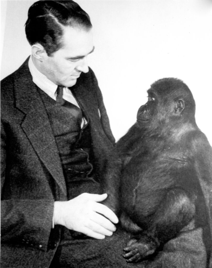 Brookfield Zoo Gallery | Zoo & Aquarium Video Archive