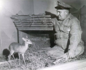 Bill Huizinga w/ baby deer