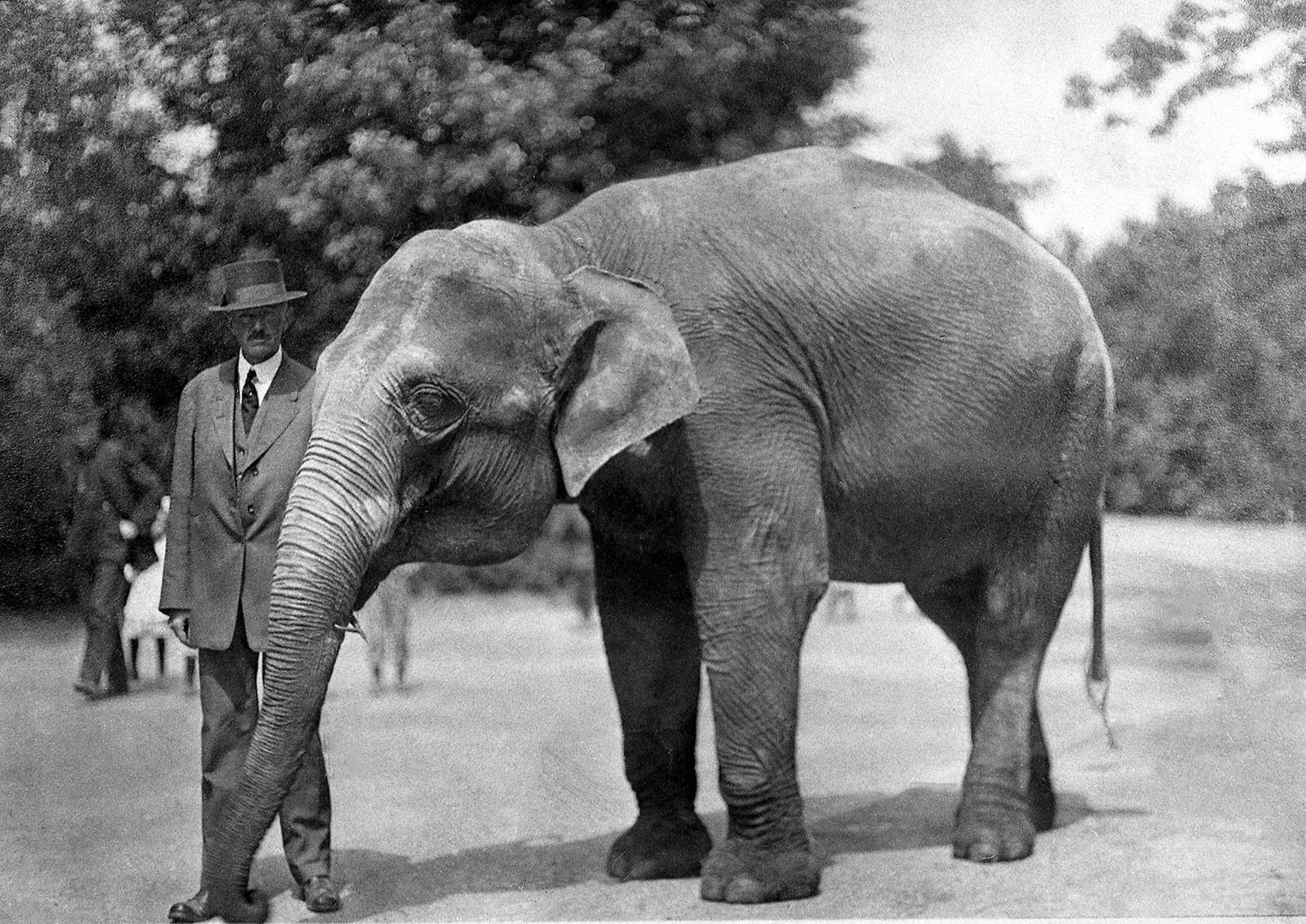 Ed Bean and Elephant Countess Heine 1910's