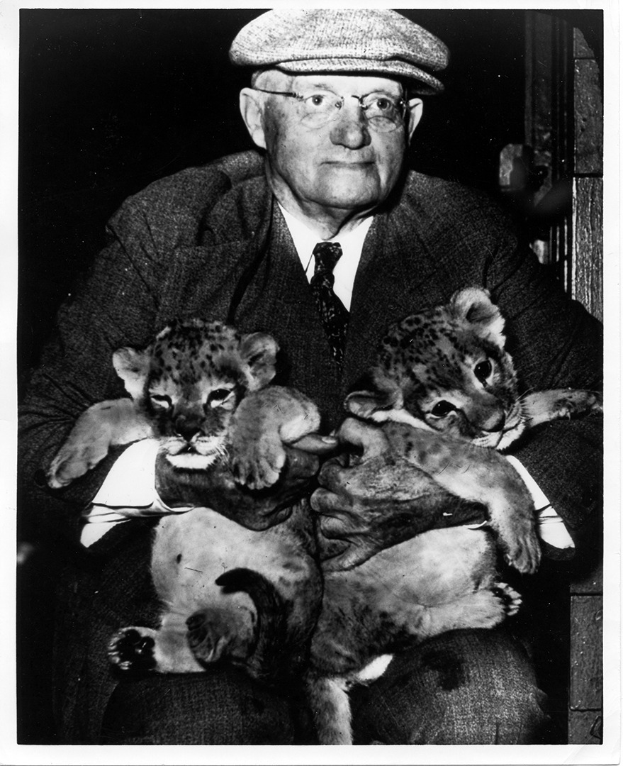 Ernst Untermann and Lion Cubs 1930's