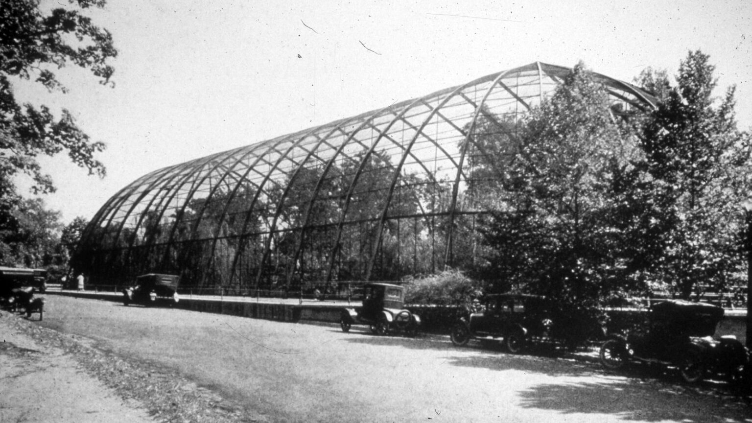 St. Louis Zoo Gallery | Zoo & Aquarium Video Archive