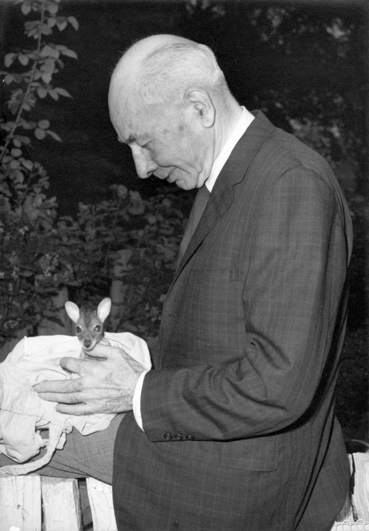 Lee S. Crandall w/ baby wallaby 06-24-64