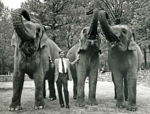 Bill Conway with Elephants