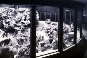 Shedd Aquarium Coral Reef Tank