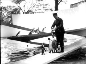 1934 Lubetkin Penguin Pool
