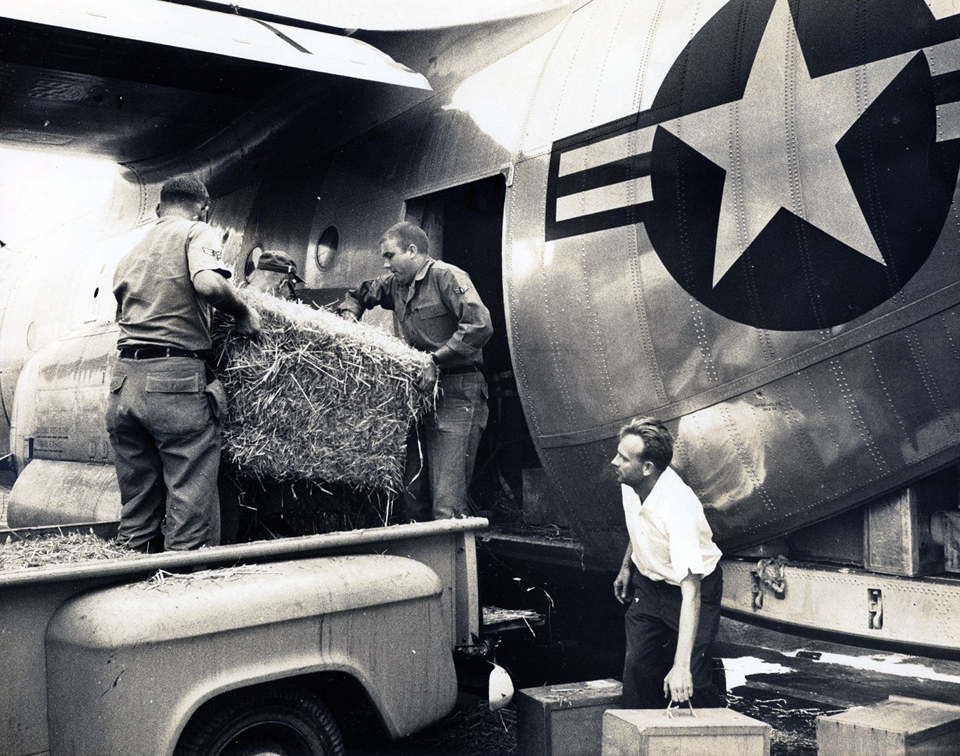 Paul Breese & Air force staff load hay into C130 Cargo plane  for Indian rhino shipment to National Zoo, 1963