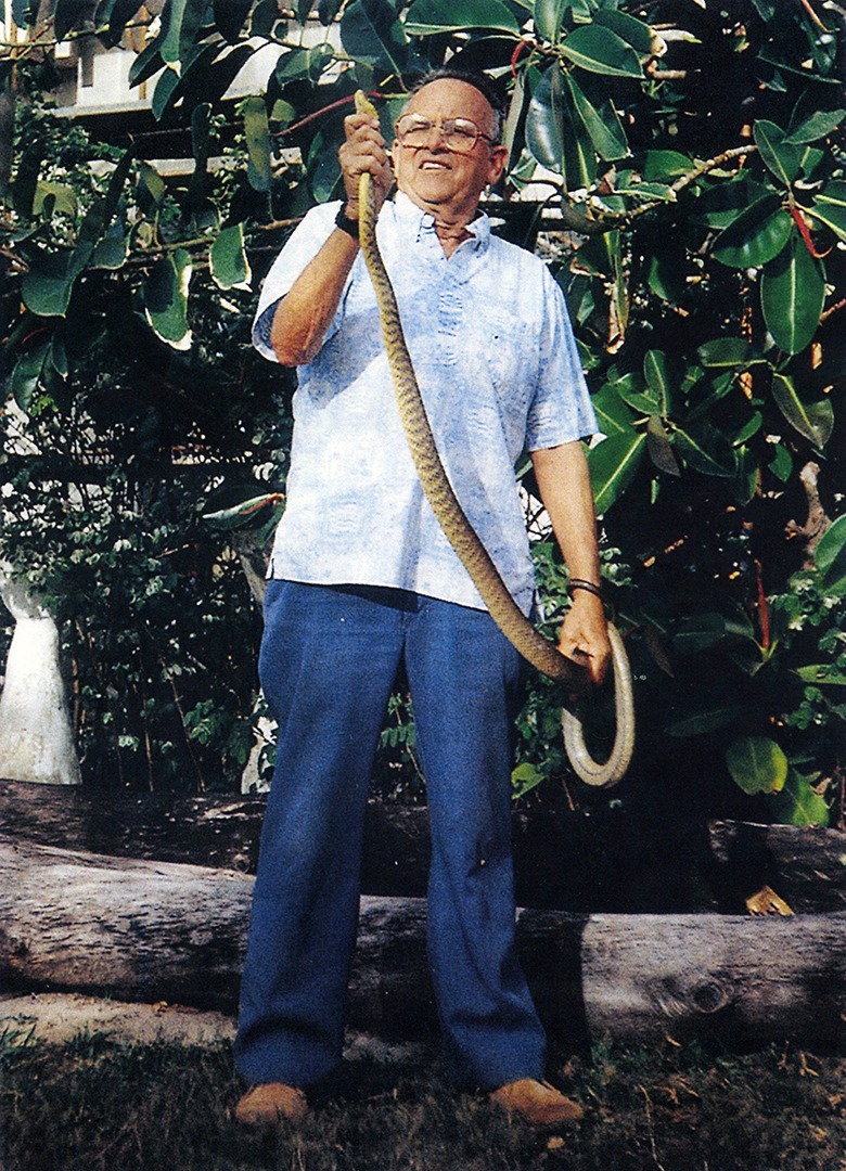 Paul Breese holding Brown Tree Snake, Guam, 1991