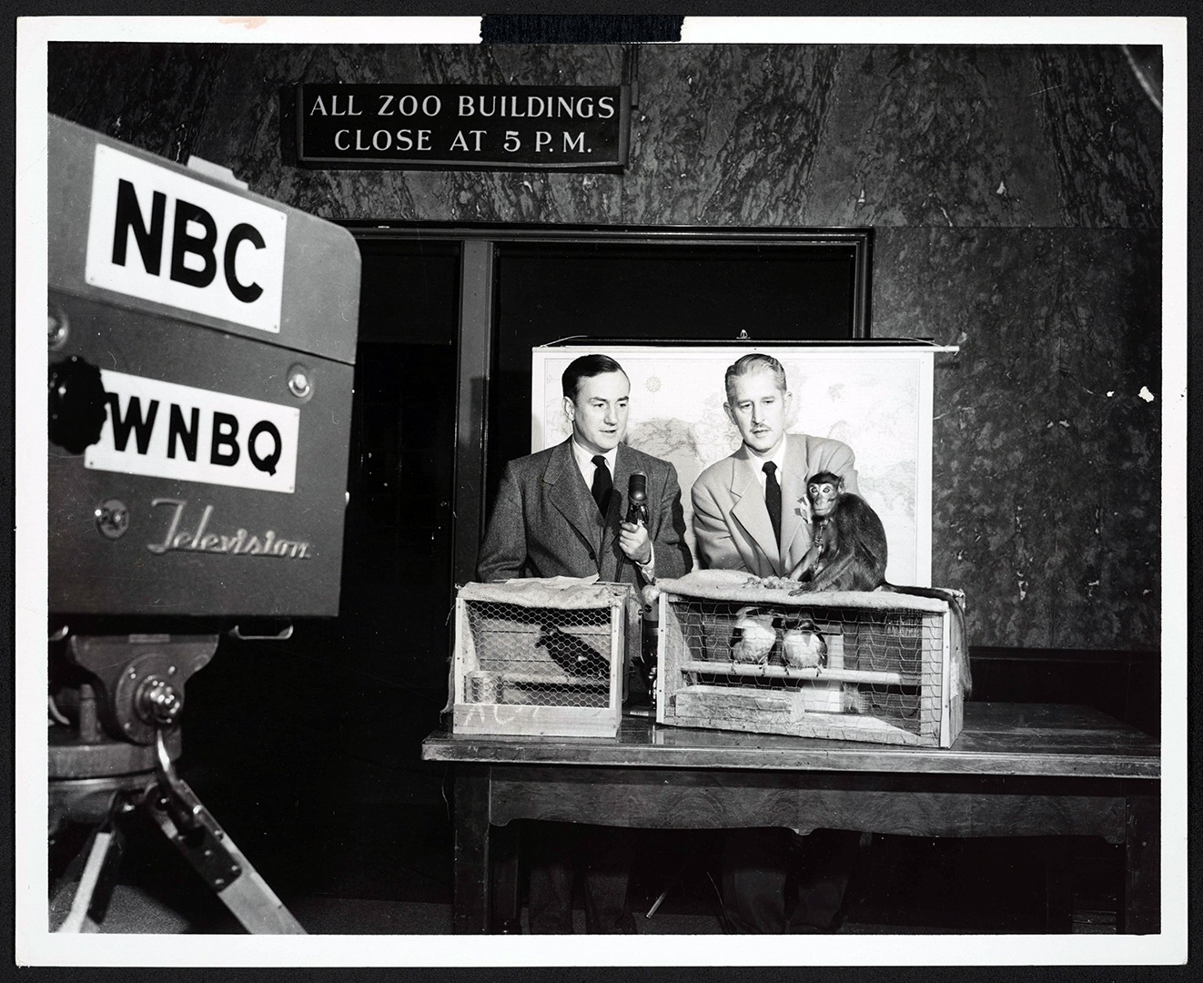 Zoo Parade television show with Jim Hurlbut & Marlin Perkins, 1949