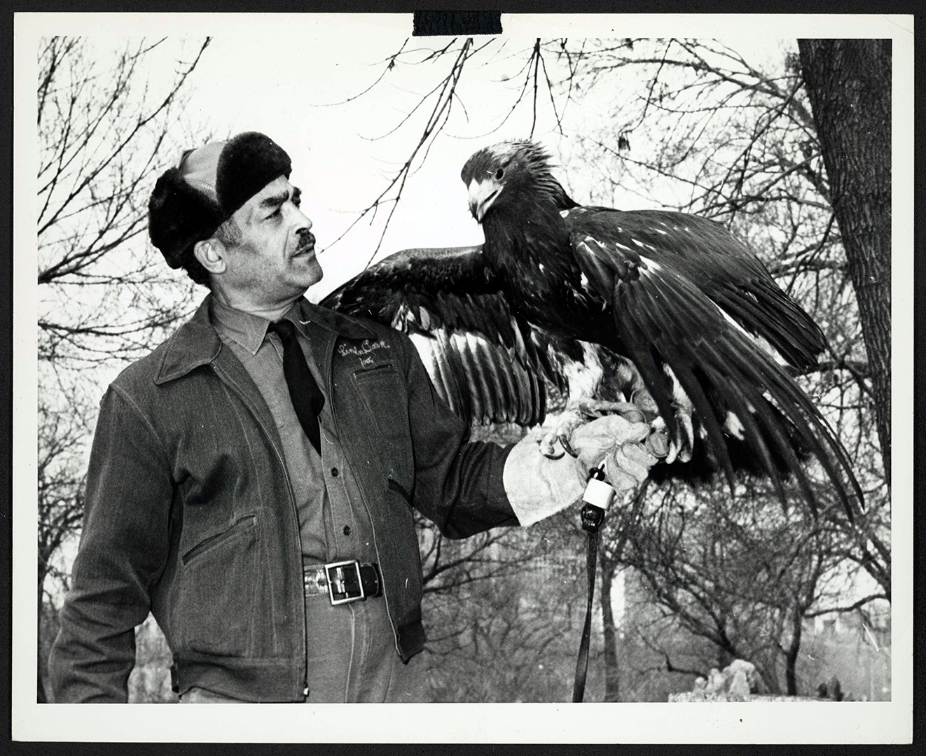 Animal keeper Joe Wilson with Golden eagle