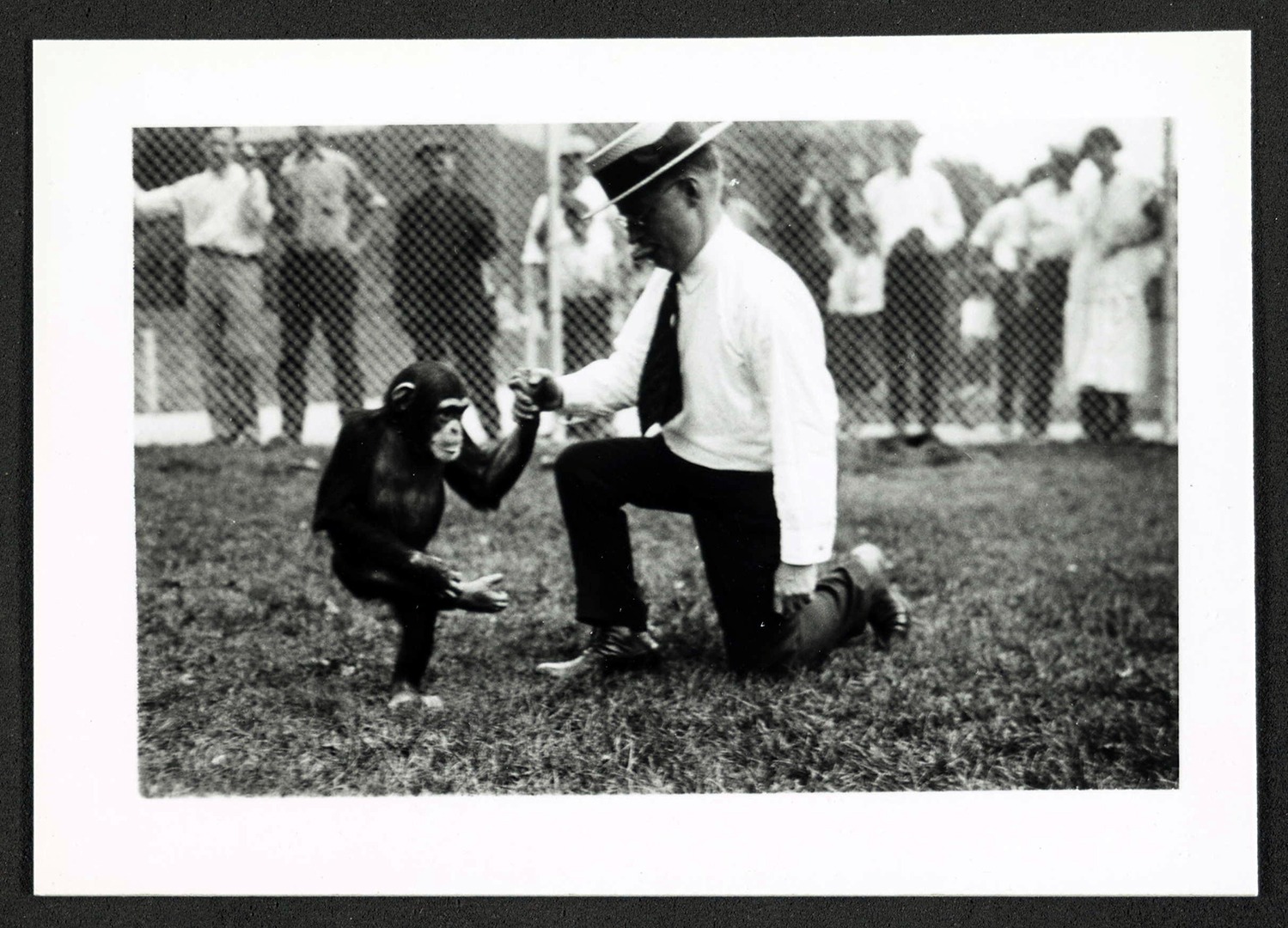 Zoo director Alfred Park with chimpanzee Skippy, 1920