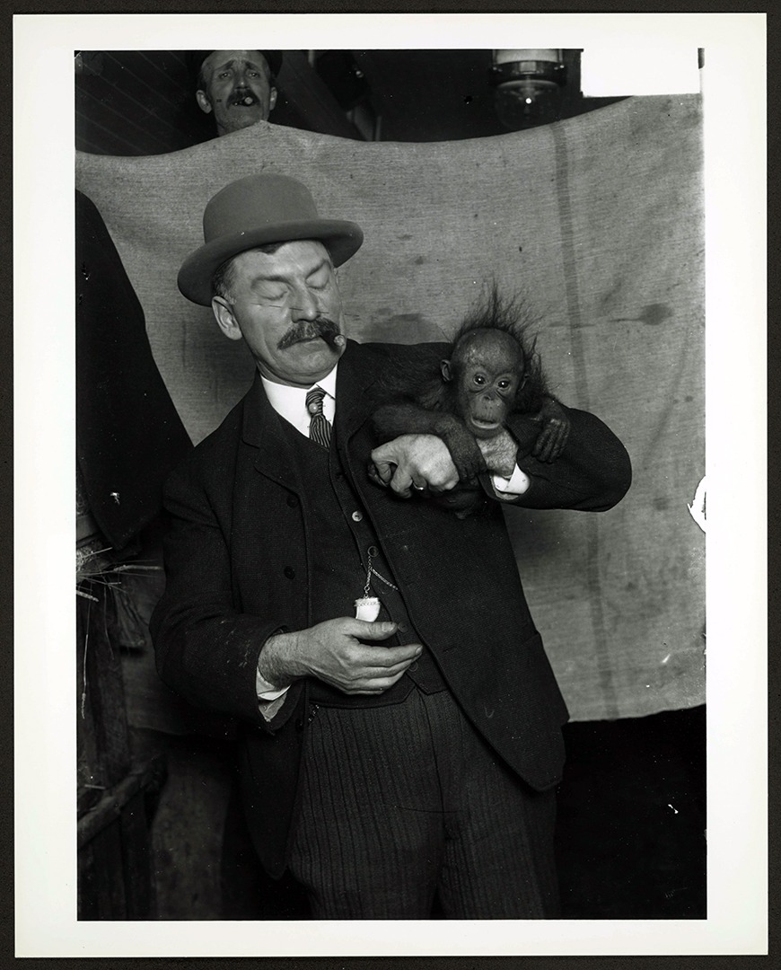 Zoo director Cy DeVry with Orangutan, 1903