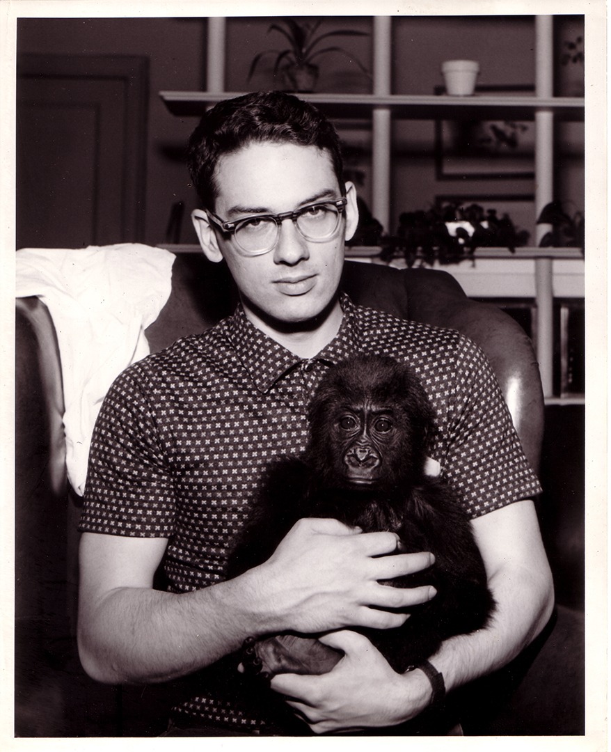 Zoologist Don Nickon with young gorilla